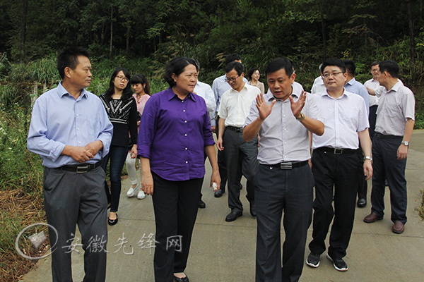 严植婵强调：为打赢脱贫攻坚硬仗提供坚强组织保证