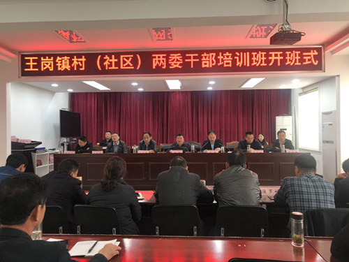 王岗镇举办村（社区）“两委”干部培训班开班式