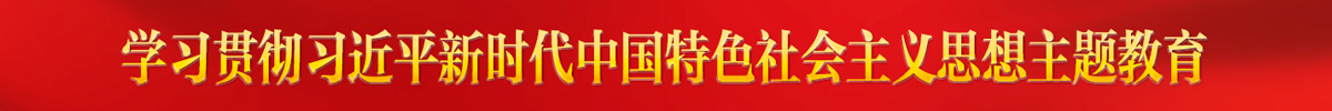 学习贯彻习近平新时代中国特色社会主义思想主题教育