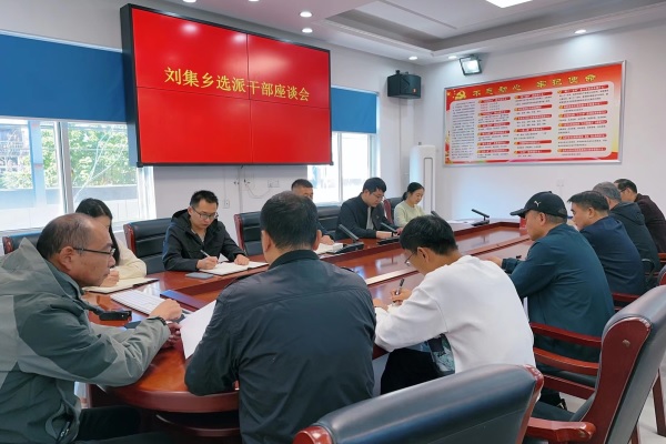 颍上县刘集乡：三强化 推深做实选派干部管理